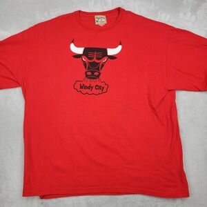Chicago Bulls Shirt Men XXL 90s Y2K Basketball Team Vintage Champ Scottie Pippen